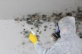 Best Forensic Mold Investigation  in Medical Lake, WA